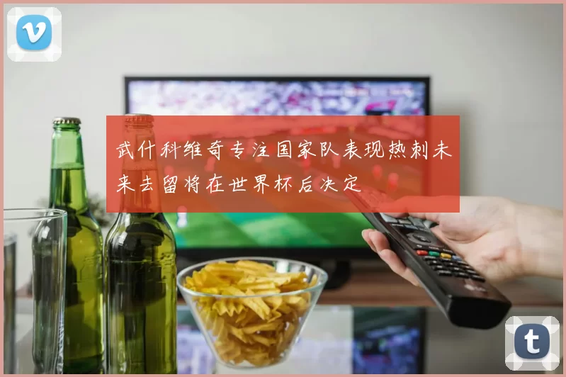 武什科维奇专注国家队表现热刺未来去留将在世界杯后决定