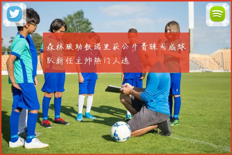 森林狼助教诺里获公牛青睐或成球队新任主帅热门人选